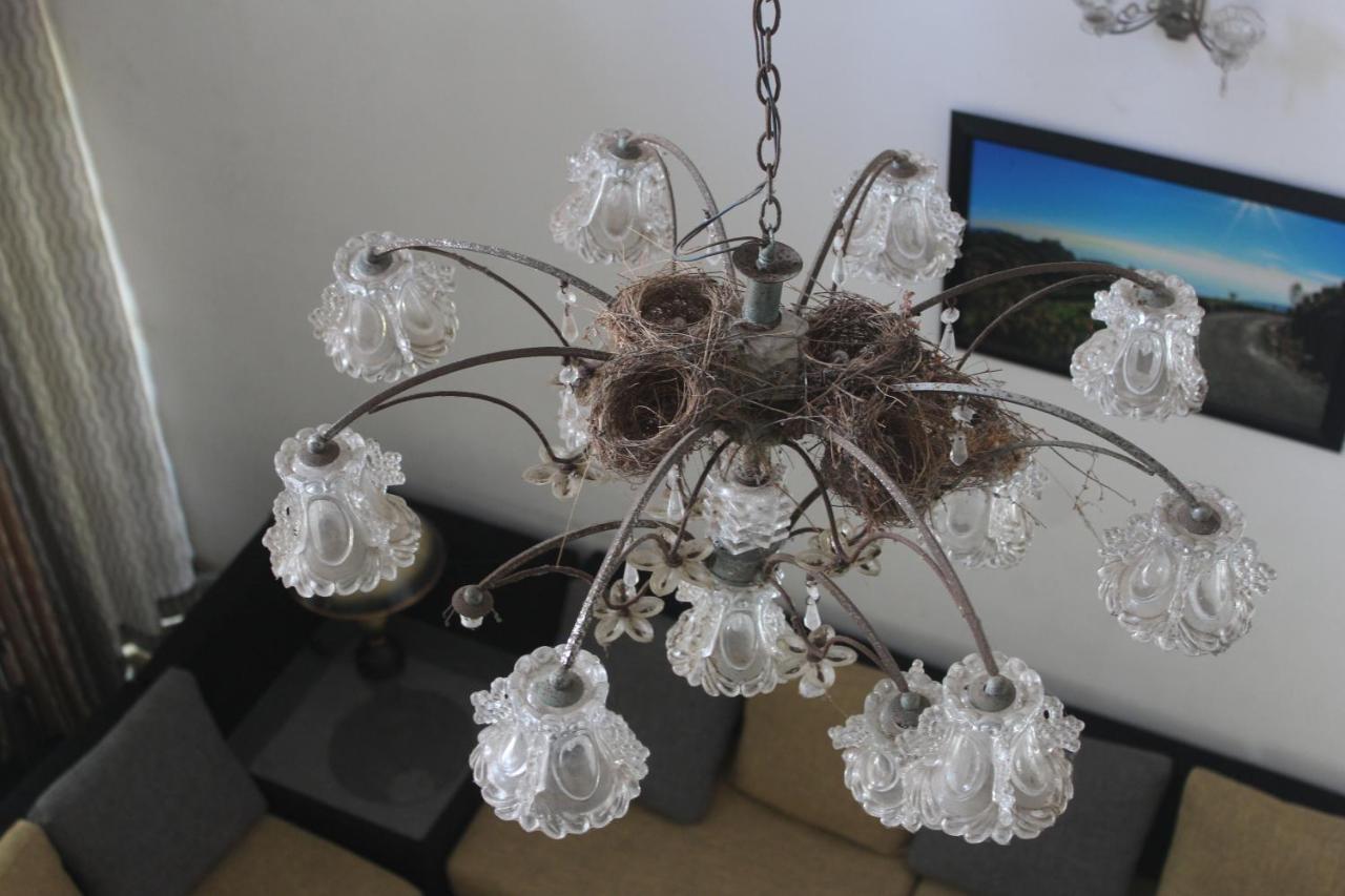 Bird'S Nest By Natures Bliss Ragama エクステリア 写真